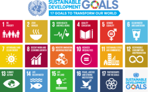 UN Sustainable Development Goals